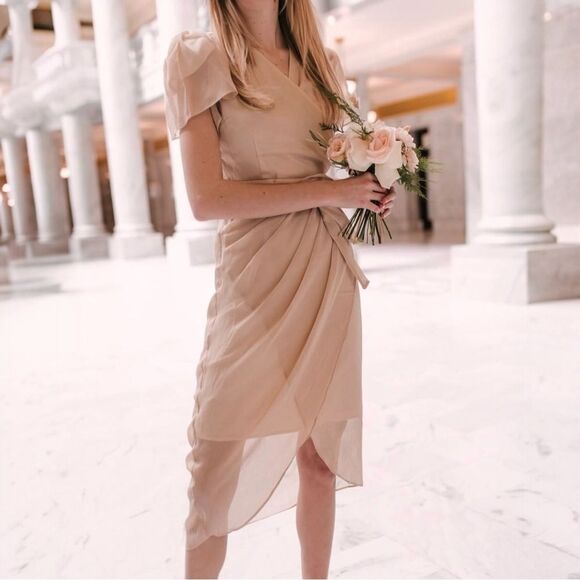 NWT Ivy City Co Lillie Dress Dusty Rose Size Large Flutter Sleeve Chiffon Midi - Picture 6 of 15